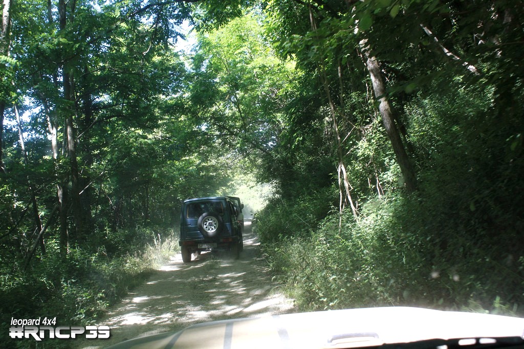39Â° Raduno Nazionale delle Colline Pistoiesi - foto 145